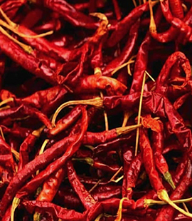 chilli